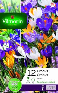 Crocus Grande Fleur En Mélange (x12)